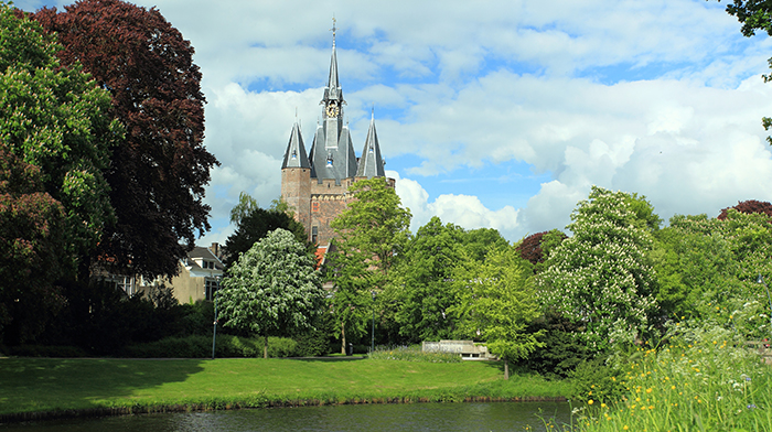 Groene omgeving en de kerk nabij Zwolle