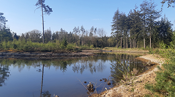 Meer in de omgeving van Epe